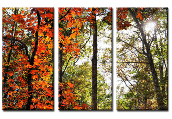 Pennsylvania Autumn (Triptych).png